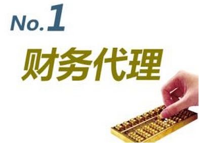 財(cái)務(wù)代理公司 財(cái)務(wù)代理公司